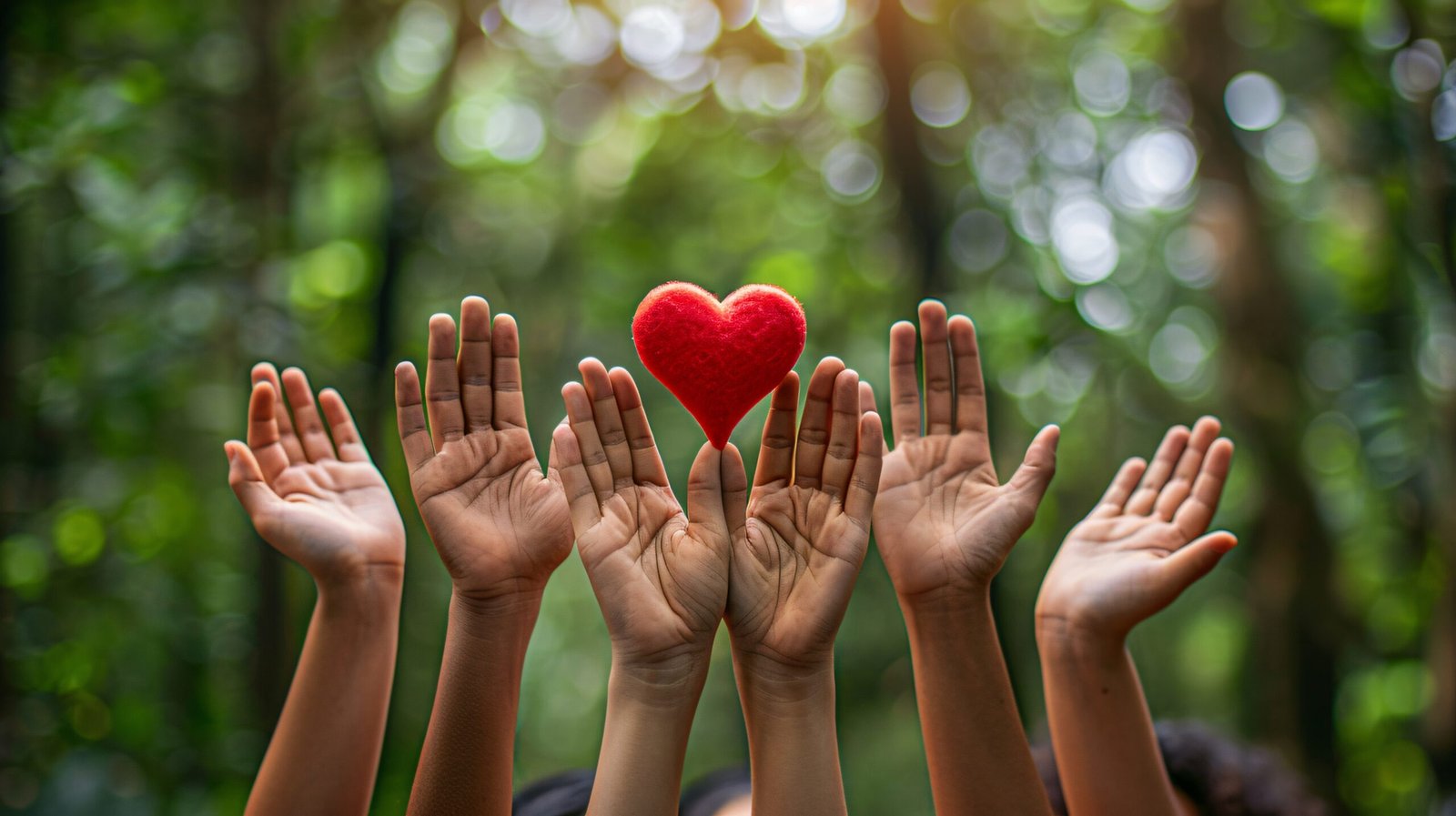 view-hands-holding-red-heart-represent-affection